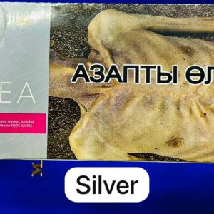 Heets TEREA Silver Kazakhstan