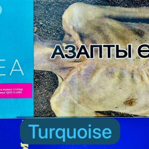 Heets TEREA Turquoise Kazakhstan